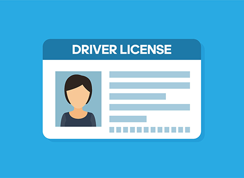 driver license translation